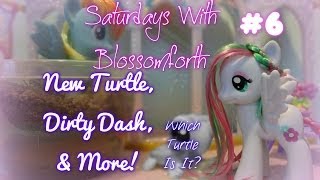 Saturdays With Blossomforth {#6}- New Turtle, Dirty Dash, & More!