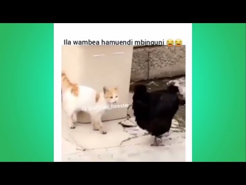 ila wambea hamuendi mbinguni mwaisa