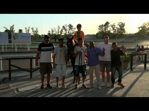 230114 c12 - APACHE CAT (BRZ) - HIPODROMO LAS PIEDRAS - GRAN PREMIO P. DE POTRILLOS