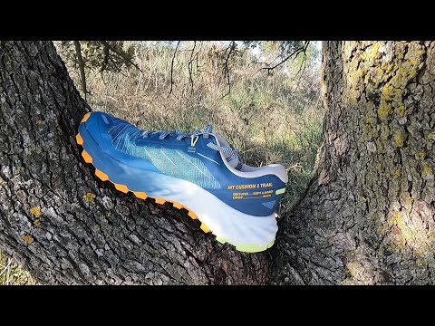 Test EVADICT MT Cushion 2 2023