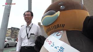 2025/12/3放送・知ったかぶりカイツブリにゅーす