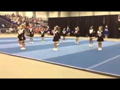 Mighty Mite cheer competition routine