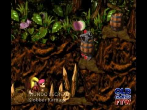 40 DK Coins - Donkey Kong Country 2 - Diddy's Kong Quest (SNES)