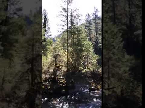 This river was a quick 5 min walk from the edge of the campground