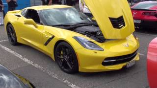 preview picture of video '2014 Corvette C7 Stingray - Super Corvette Sunday 2013 in Buchs bei Aarau - Schweiz'