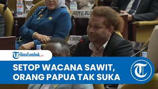 Tolak Wacana Sawit Presiden Prabowo, Paul Finsen Mayor: SETOP, Orang Papua Tidak Suka
