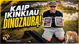 Kaip įkinkiau  dinozaurą