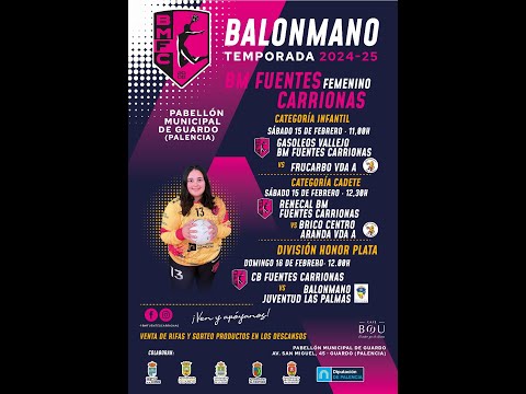 INFANTIL - GASOLEOS VALLEJO BM FUENTES CARRIONAS VS FRUCARBO VILLA DE ARANDA A - 15/02/2025 - 11:00h