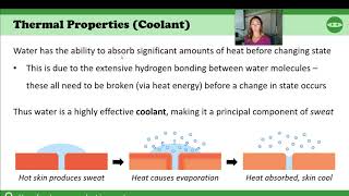 2.2 - IB Biology - Water