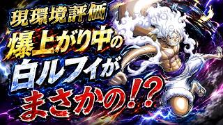今の環境最強ぶっ壊れの白ルフィ必須じゃないと思うんだけどみんなはどう思う？【バウンティラッシュ】【ワンピース】【onepiece】【バウンティ】【リーグ立ち回り】【PC】