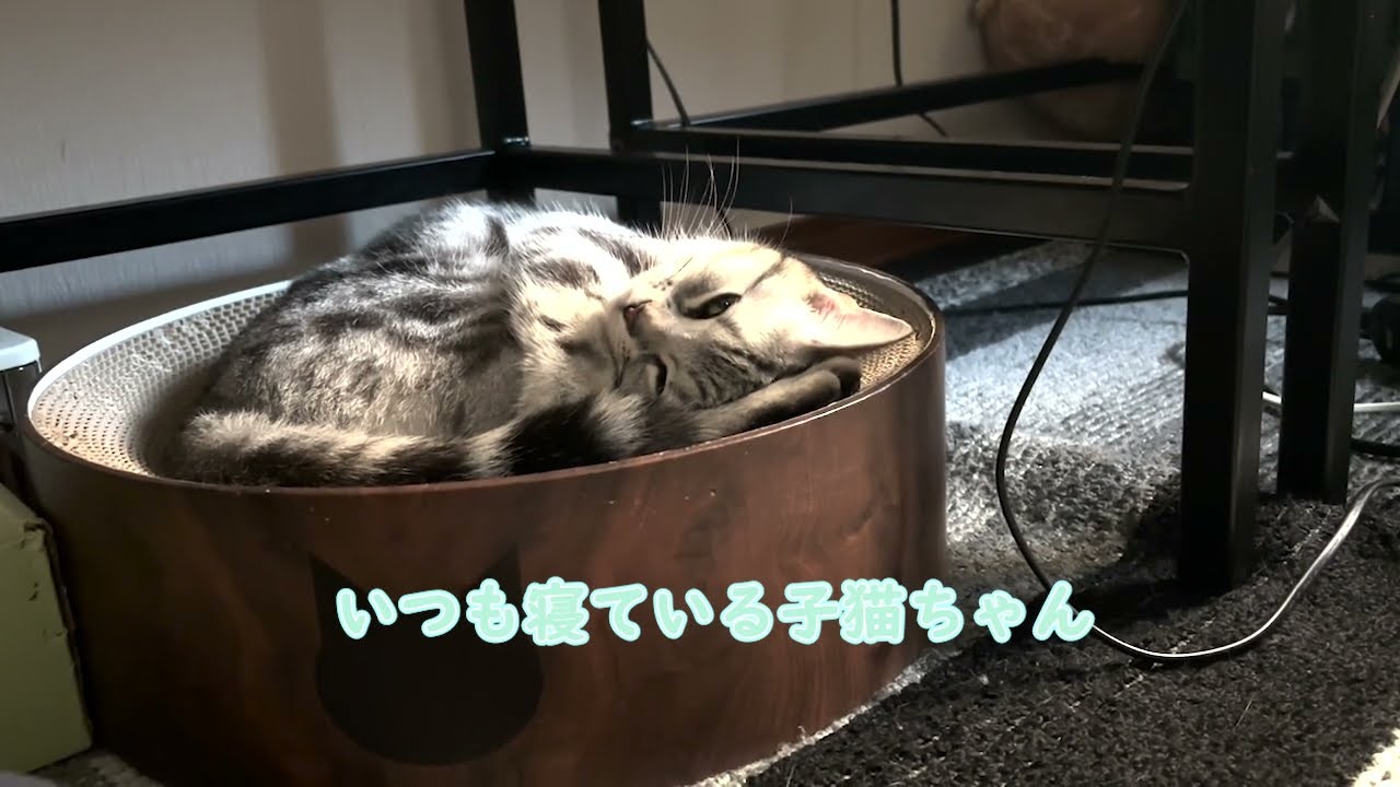 ［No.033］のんびり屋さんの暮らし