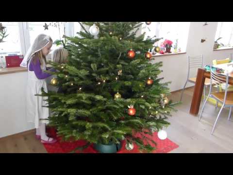 Enfeitando a árvore de Natal