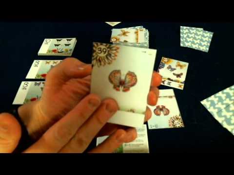 Bower's Game Corner: The Butterfly Garden Review 