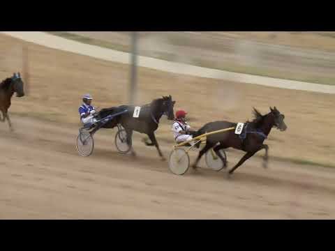 2022.07.23. 05. futam - MILLIONDOLLAR LUX HENDIKEP