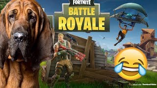 Karma is a female dog