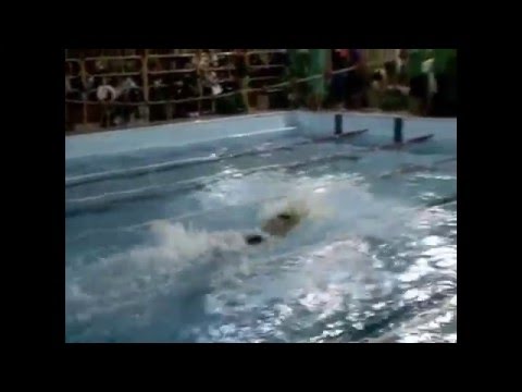 staffettone buccinasco