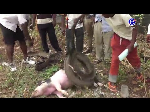 PIDGIN NEWS TUESDAY 3rd MARCH 2020 - EQUINOXE TV