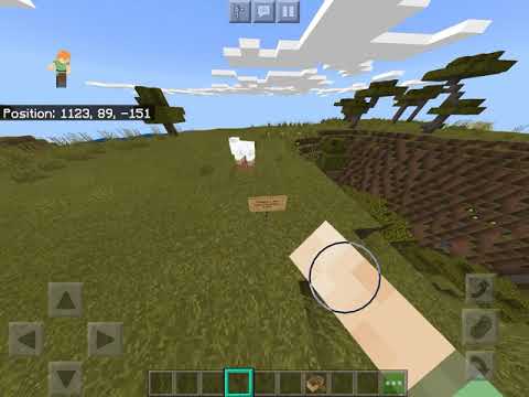 OMG I MET BABY KATA PEE PEE P00 P00 IN MINECRAFT  AND I WENT TO HIS HOUSE