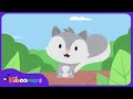 Grey Squirrel The Kiboomers Preschool Songs Nursery Rhymes About Animals