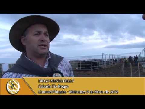 09-05-18 Nota Diego Meneghello - Liquidacion Cabaña La Argentina - Cnel. Pringles.