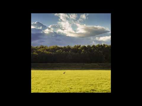 ColdWorld - Весна (Full Single 2022)