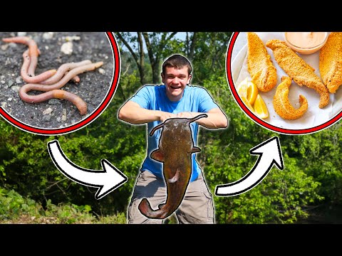 EPIC FOOD CHAIN FISHING CHALLENGE! (Catch, Clean, Cook)