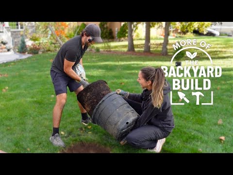 The Final Look | THE BACKYARD BUILD (bonus ep)