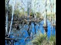 Josh Turner's South Carolina Low Country