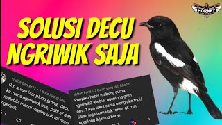 Download lagu SOLUSI BURUNG DECU NGRIWIK SAJA mp3