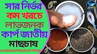 সার নির্ভর কম খরচে লাভজনক কার্প জাতীয় মাছচাষ