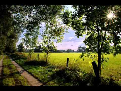 Michel van Dam - Licht meines Lebens