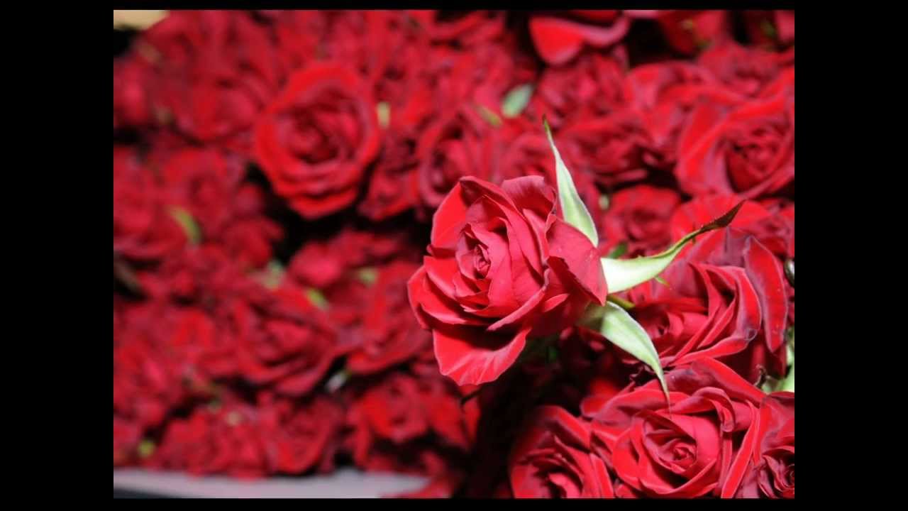 Teekhi Tu Jitni Hai Lyrics  | Imaan Beimaan | Madhoo, Chunky Pandey | Abhijeet Bhattacharya, Alka Yagnik | Rajesh Roshan