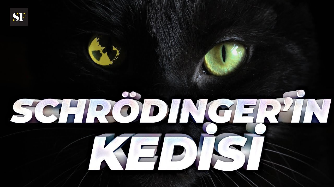 Schrödinger'in Kedisi Hayatta mıydı Değil miydi? | BBC Science Focus Türkiye