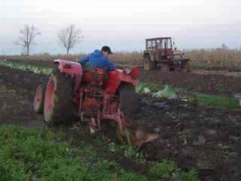 Nașu și Finu .....!!