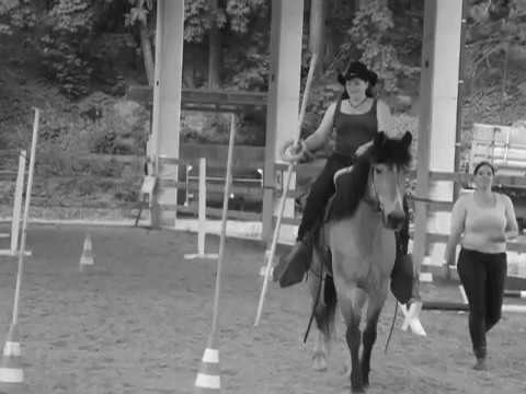 Working Equitation 2016 mit Katharina Schön im Reitstall Hobby Pferd