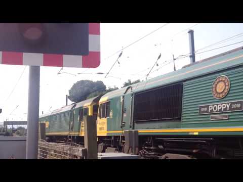 66507 & 66614 @ Morpeth