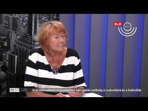 PIRKADAT Breuer Péterrel 2025.09.04.