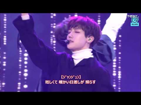Golden Child  -  LADY【パート色別 日本語字幕】