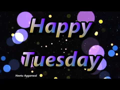 download lagu mp3 mp4 Happy Tuesday, download lagu Happy Tuesday gratis, unduh video klip Happy Tuesday