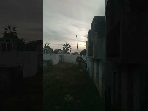 Cementerio de Pijiño Del Carmen Magdalena fumigaddo/Video Grabado por Jhon Carlos.💯🇨🇴