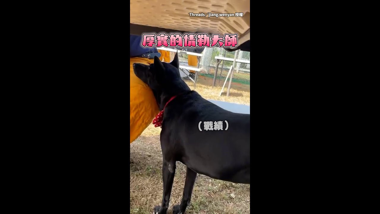 【怎麼忍得住XD】消防員吃飯被黑狗饋頭情勒！ #Shorts