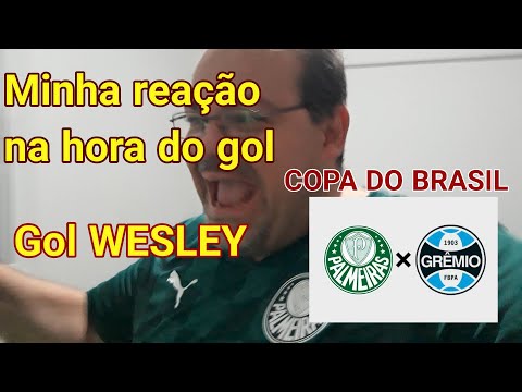 Na hora do gol do Wesley Final da COPA DO BRASIL contra Grêmio REAÇÕES