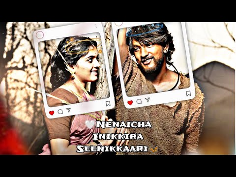 🤍🦋Nenaicha Inikkira Seenikkaari// Nelava Minukkura Maayakkaari//. 1947 movie WhatsApp status 💯💫✨