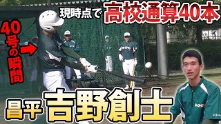 動画を再生