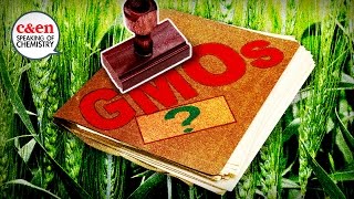 How GMOs are regulated… or not—Speaking of Chemistry