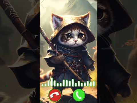 meow meow cute song ringtone video