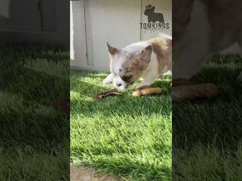 Video 3