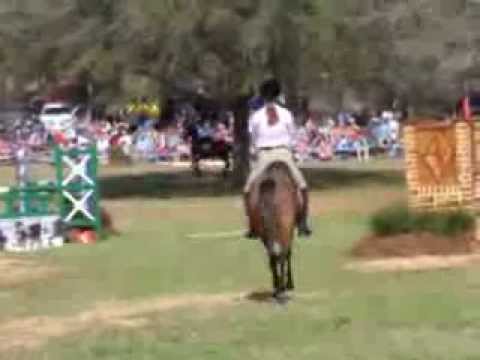 Galiceno mare, NiNa Ella, in the Parade of Breeds