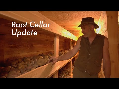 How did my root cellar work 1st full winter?
