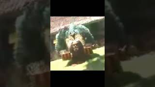 Download lagu reog sotren asli reog lawas #TahunSayaDiYouTube mp3